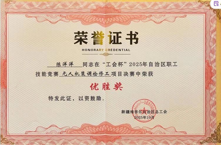 陈洋洋优胜奖荣誉证书